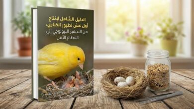 مخطط الإضاءة المناسبة لموسم تزاوج الكناري