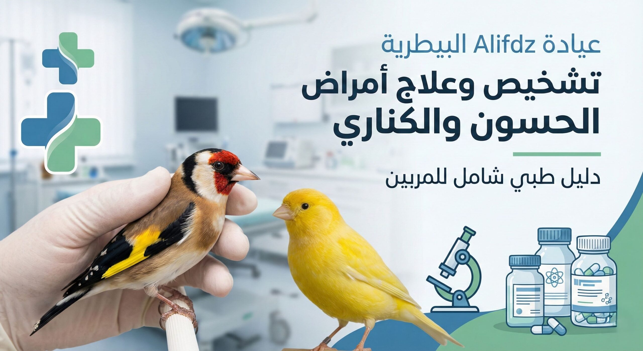 علاج أمراض الحسون والكناري بالأدوية